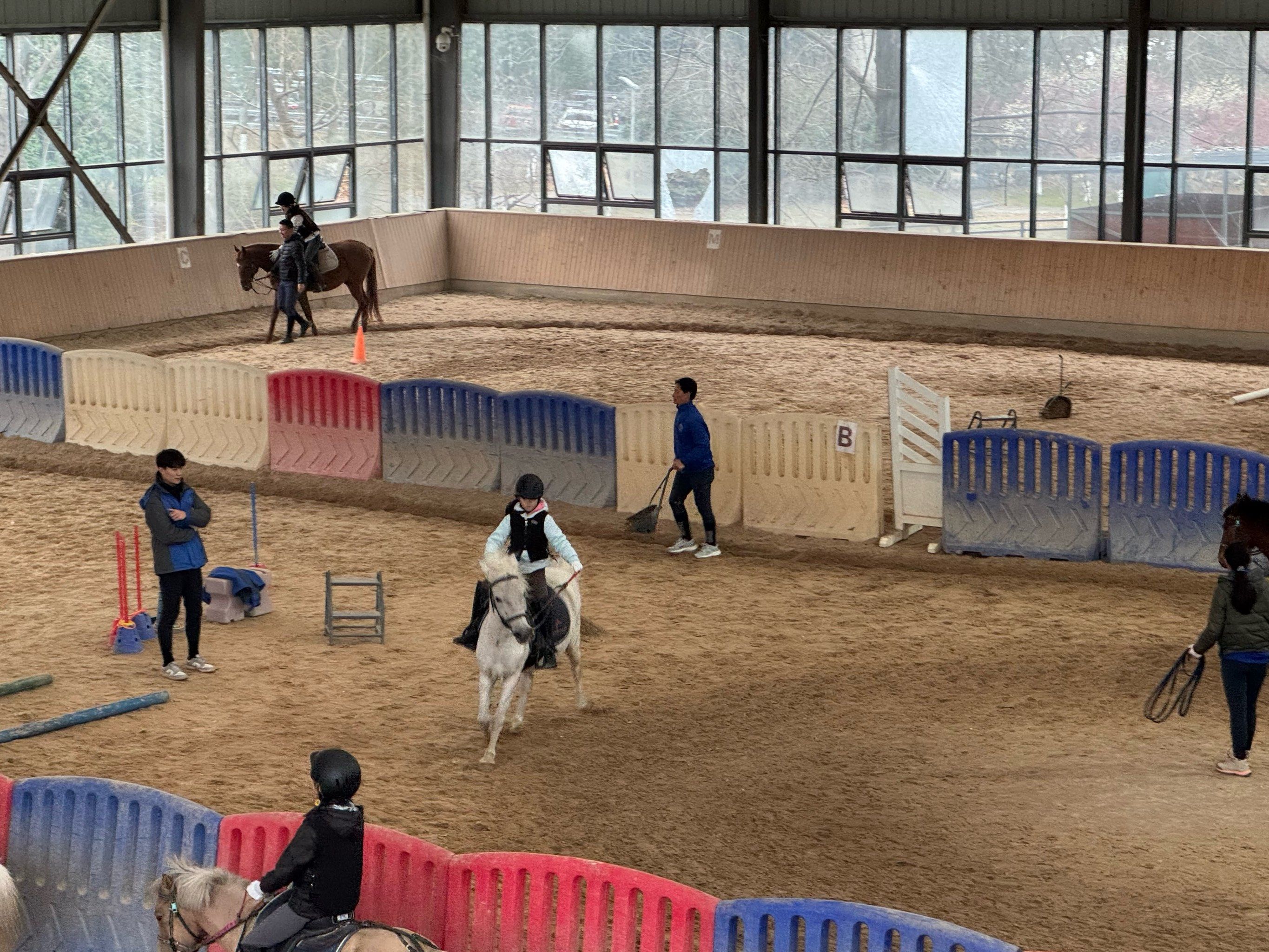 儿童一对一40分钟马术体验1节」#全民搭伙来探店#马术