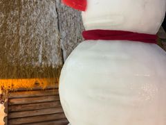 -苏州湾梦幻水世界