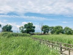 -野鸭湖国家湿地公园