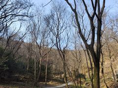 -南京老山国家森林公园