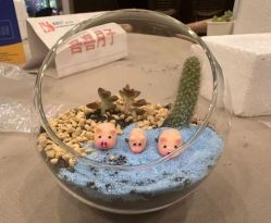 -喜喜·全套房月子会所(罗宾森广场店)