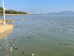 -深圳湾公园(南山区)