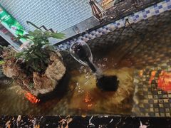 -威海天沐度假区温泉