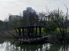-上海吴淞炮台湾国家湿地公园