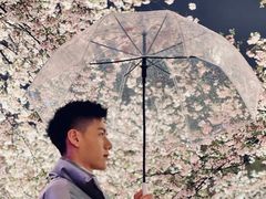 -东湖磨山景区樱花园-停车场