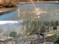 -宁海森林温泉