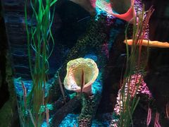 -沈阳海洋探索中心