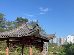 -广州神农草堂中医药博物馆