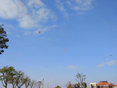 -滆湖低碳生态公园