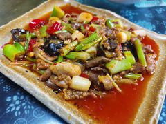 -青城甲(青城山店)