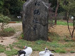 -杭州野生动物世界