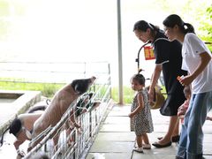 -青瓦房古村落