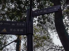 -缙云山景区