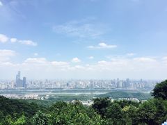 -阿捡忭京炸鸡(韭菜园总店)