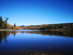 -五营红松林海景区