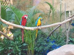 -杭州开元森泊度假乐园