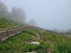 -白草畔自然风景区