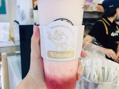 -娃哈哈·奶茶(武林店)