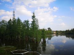 -白鹭湾湿地公园