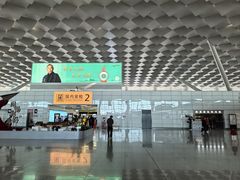 -郑州新郑国际机场-T2航站楼