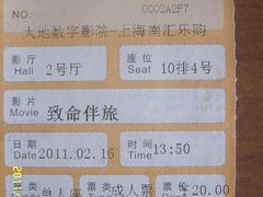 -大地影院(上海南汇店)