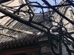 -康百万庄园