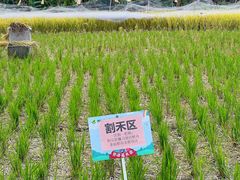 -新地休闲农场