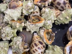 -新丁香海鲜酒店(银海商贸城店)