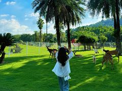 -东南花都花博园