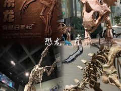 -山东博物馆