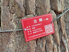 -潭柘寺景区