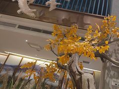 -胖老汉(迎宾路店)