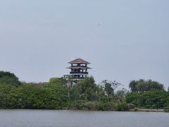 -大湾区中央湿地公园