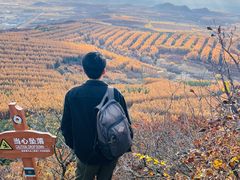 -帽儿山国家森林公园