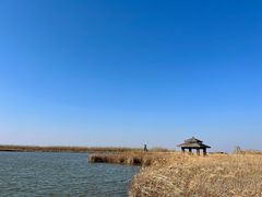 -宁波杭州湾国家湿地公园