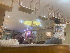 大堂-滚猫咖啡·猫咖·猫友好撸猫(未来城店)
