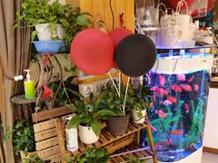 -丁大房(明德广厦店)