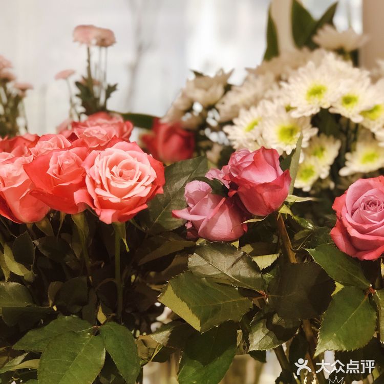 冬天里的限定小甜蜜.要柿柿栗栗哟（顺顺利利）