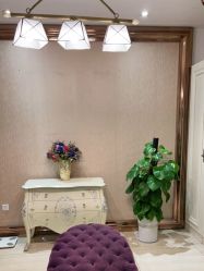 -天姿美容·美体科技SPA·艾姿美店