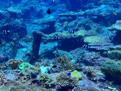 -珠海长隆海洋王国