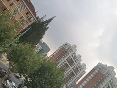 -长风街道长风社区卫生服务中心