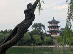 -莱西月湖公园