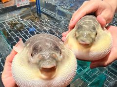 -大潮淮·淮扬菜(何园旗舰店)