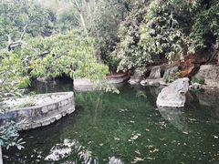 -抚仙湖禄充风景区