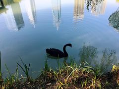 -金桥现代产业园区-停车场