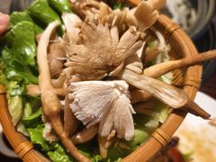 -滇野云南野生菌餐厅(陕西南路店)