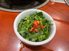 -菌之家·专业纯野生菌火锅·特色炒菌