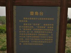 -北京麋鹿生态实验中心
