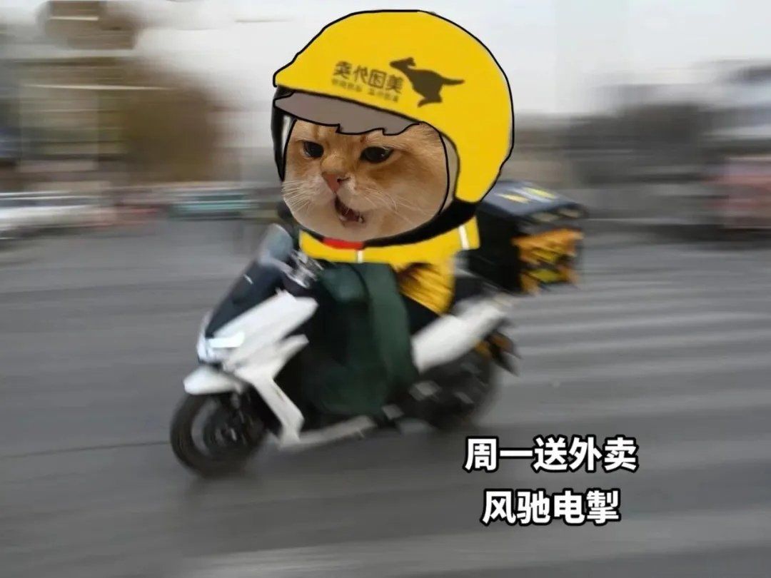 又到了喵喵打工的日子