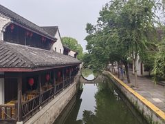 -鲁镇